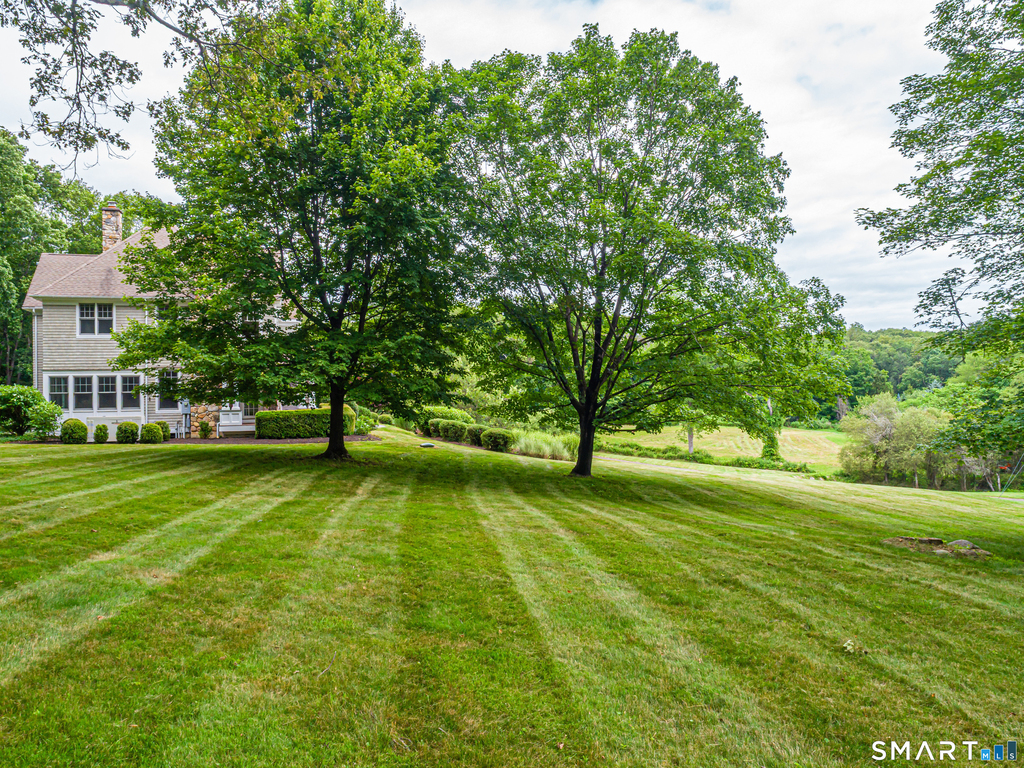 125 Nod Hill Road - Photo 4
