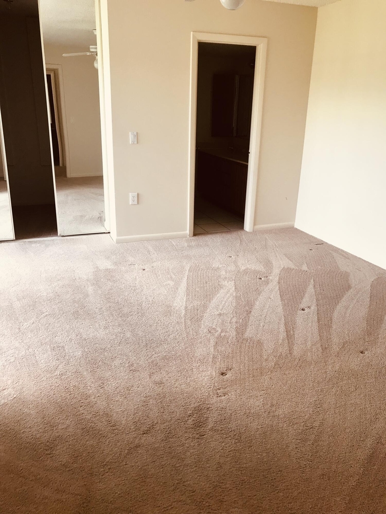 3719 37th Way - Photo 8