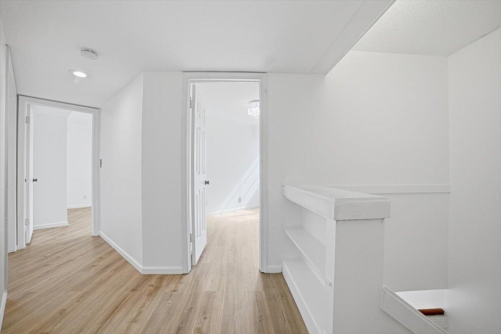 11635 Ficus Street - Photo 11