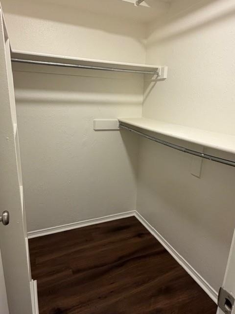 505 Cedar Elm Lane - Photo 12