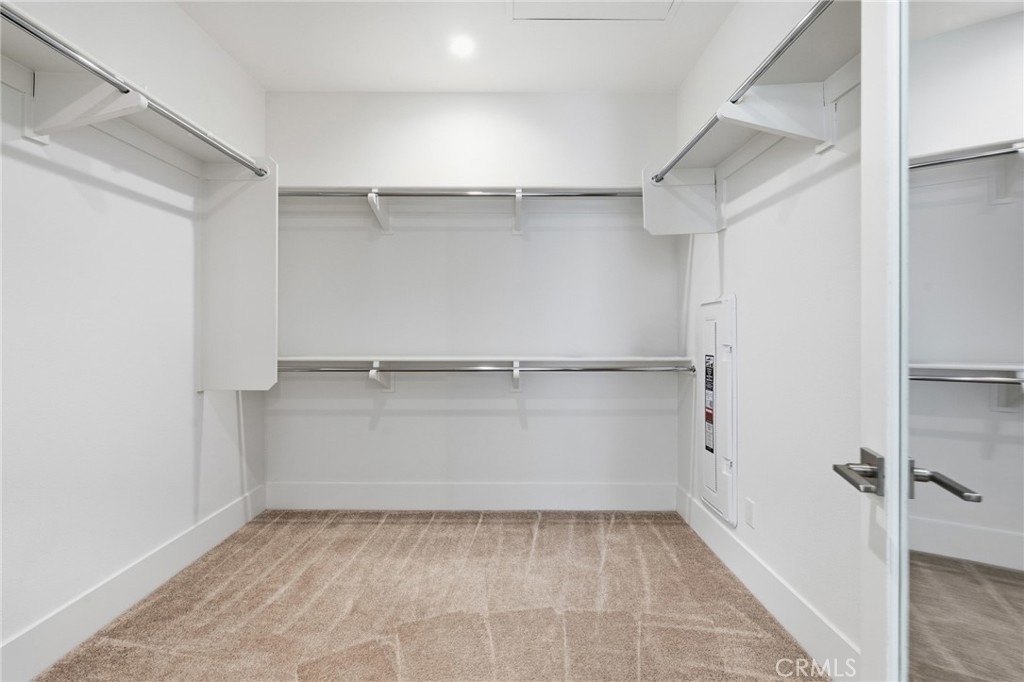 54 Cardamine - Photo 31