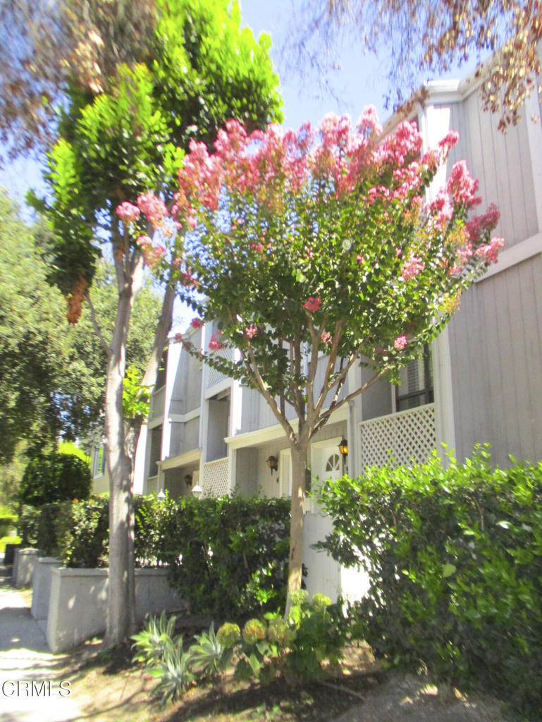 965 E Del Mar Boulevard - Photo 1