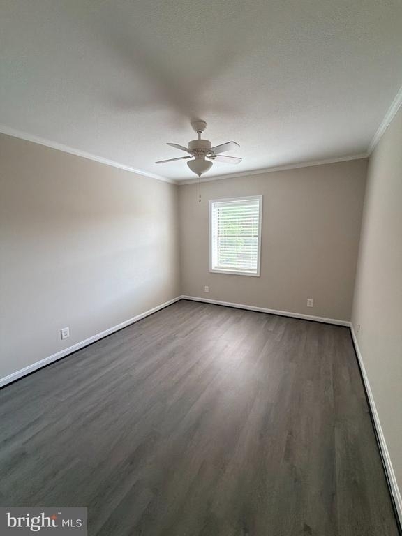 202 Buckingham Lane - Photo 9