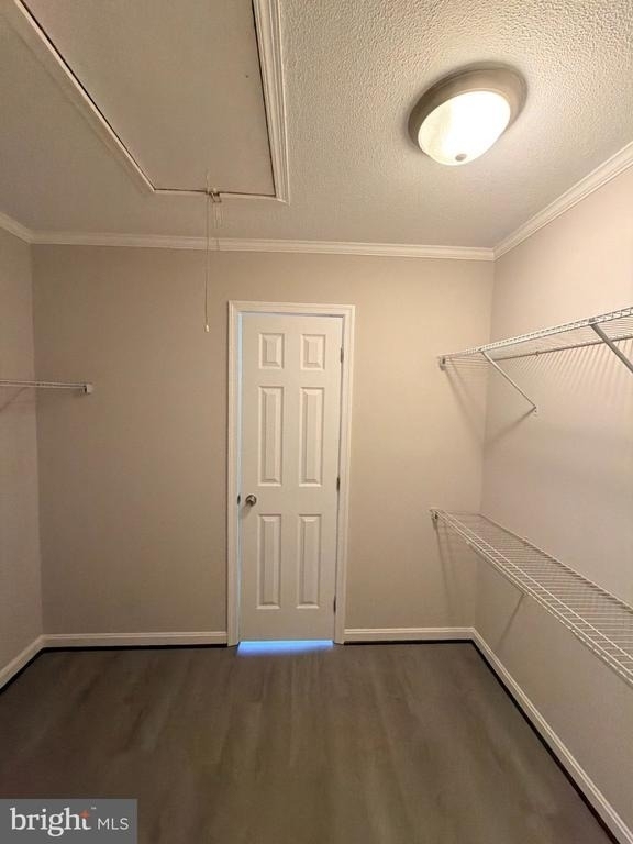 202 Buckingham Lane - Photo 7