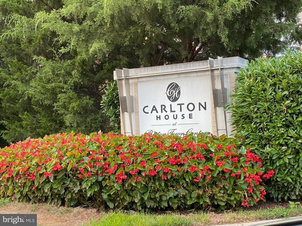 11800 Sunset Hills Road - Photo 1