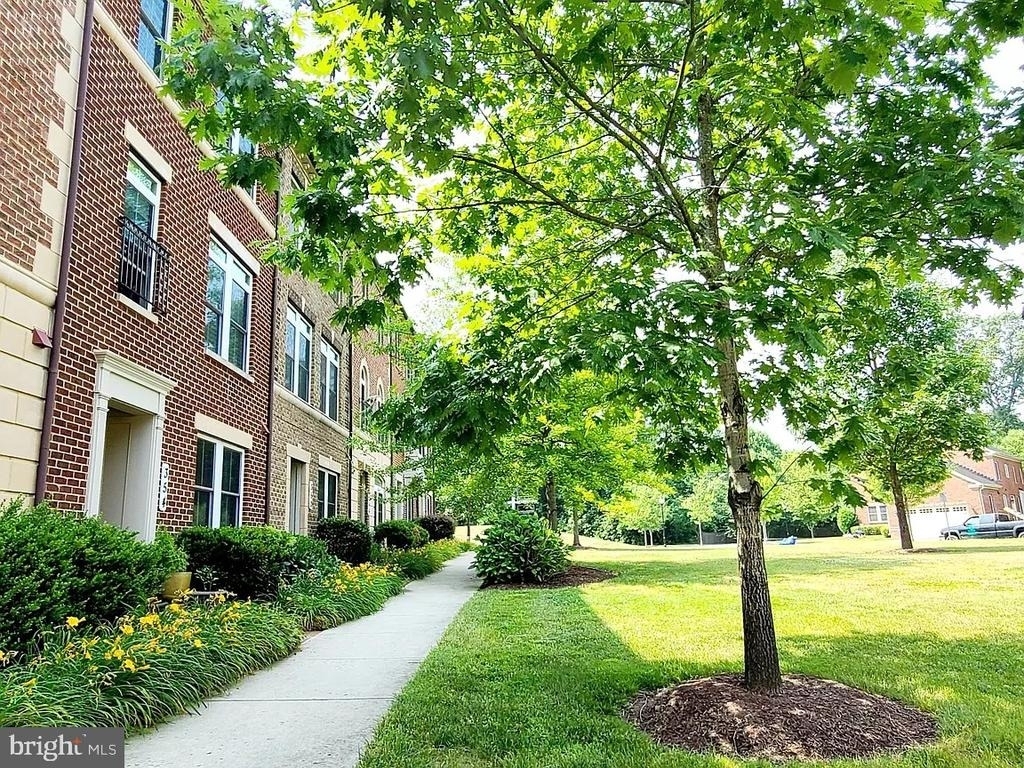342 White Ash Place - Photo 1