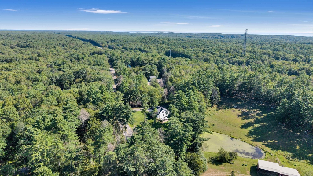 295 Chases Pond - Photo 41