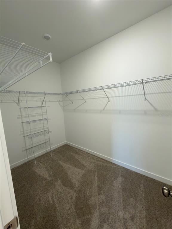 5101 Flaxleaf Street - Photo 18