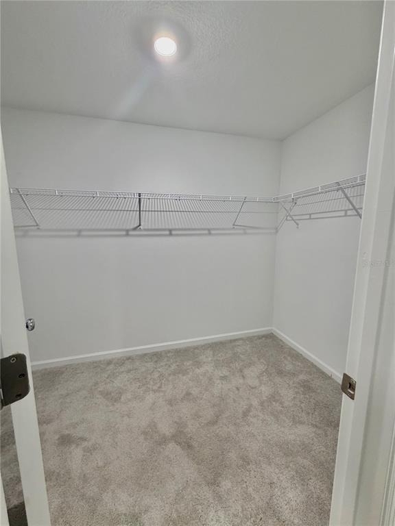 2704 Pioneer Trail - Photo 6