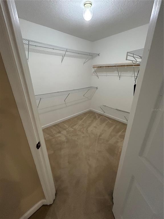 6720 Imperial Oak Lane - Photo 12