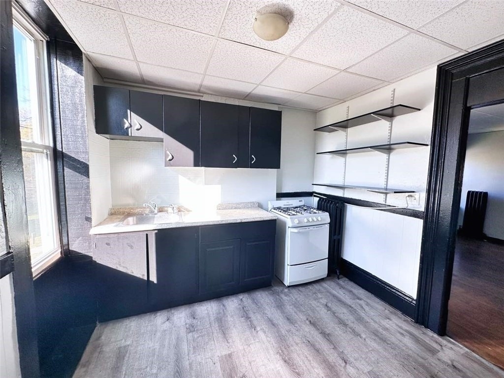 111-115 Lyell Avenue - Photo 1