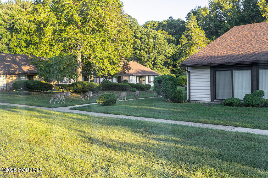 47 Wild Turkey Way - Photo 31