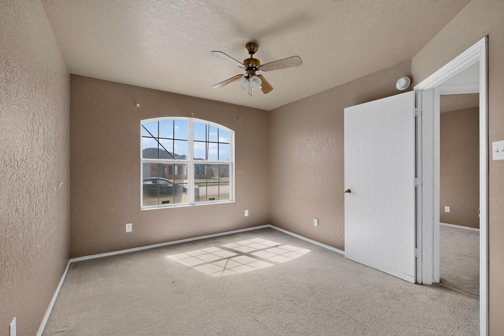 5201 Holster Drive - Photo 13
