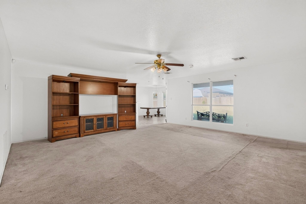 5201 Holster Drive - Photo 12