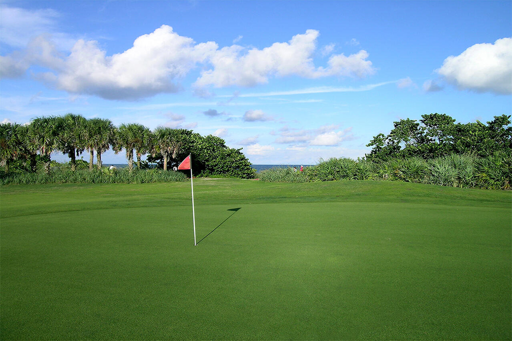 550 Se Mizner Boulevard - Photo 11
