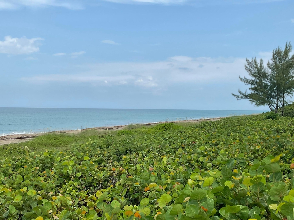 11000 S Ocean Drive - Photo 46