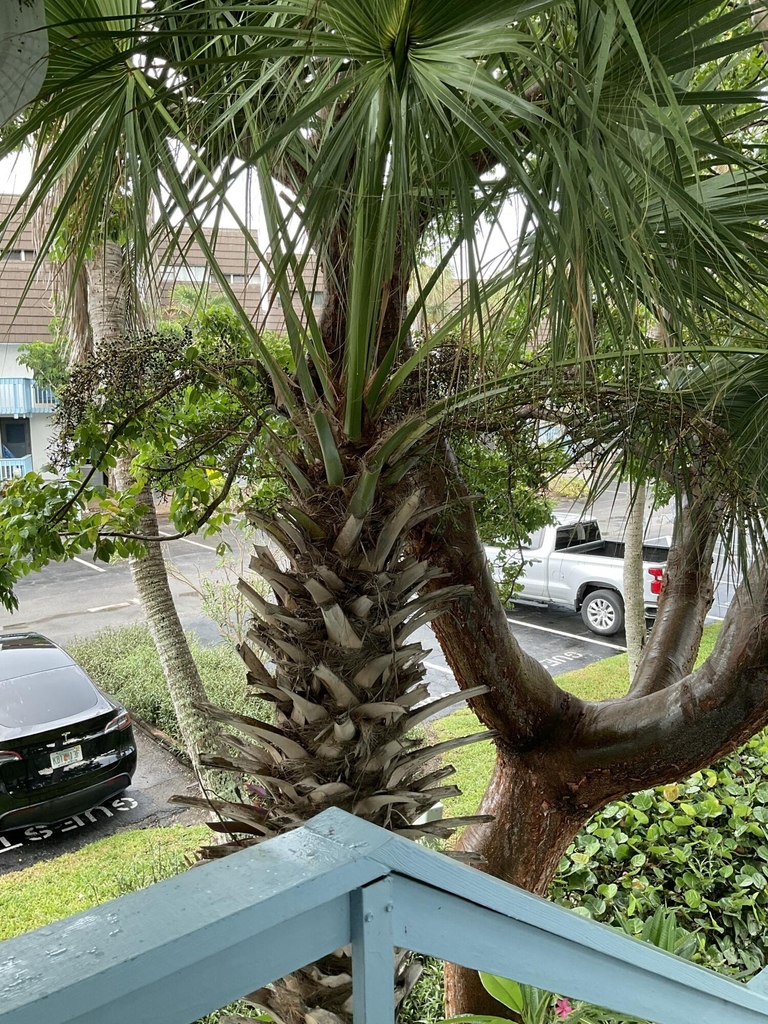 11000 S Ocean Drive - Photo 37