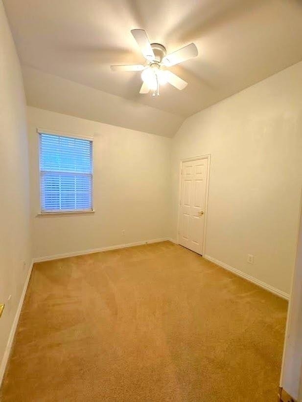 4501 Brenda Drive - Photo 21
