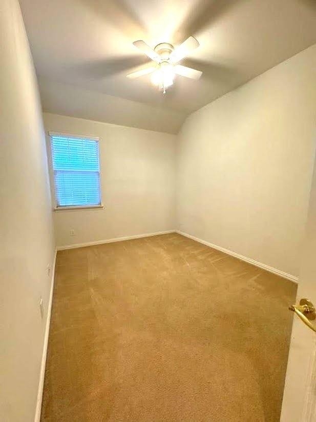 4501 Brenda Drive - Photo 20