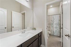 2804 Hackberry Creek Trail - Photo 23