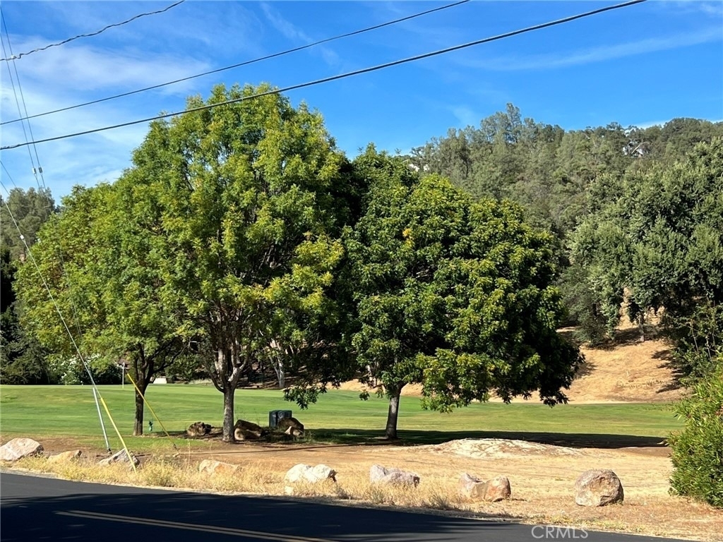 19783 Oak Flat - Photo 10