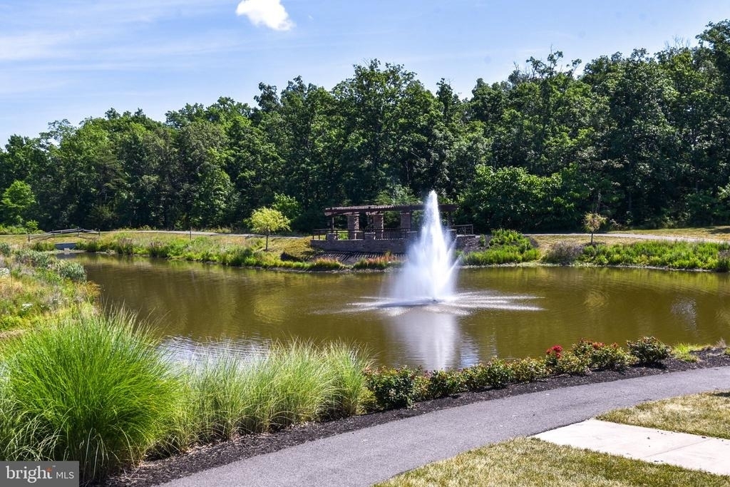 41673 Mcmonagle Square - Photo 43