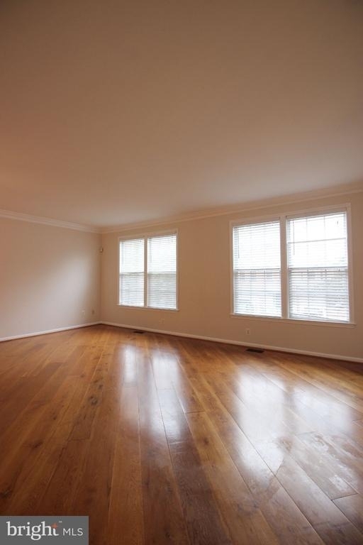 46140 Cecil Terrace - Photo 1