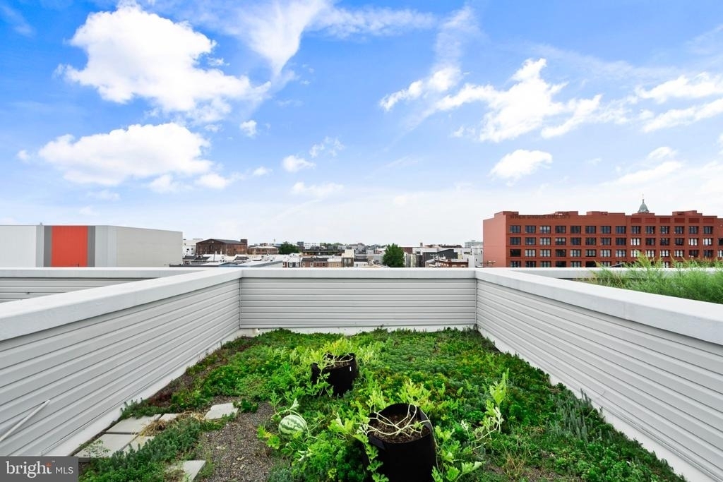 1600 N Bodine Street - Photo 36