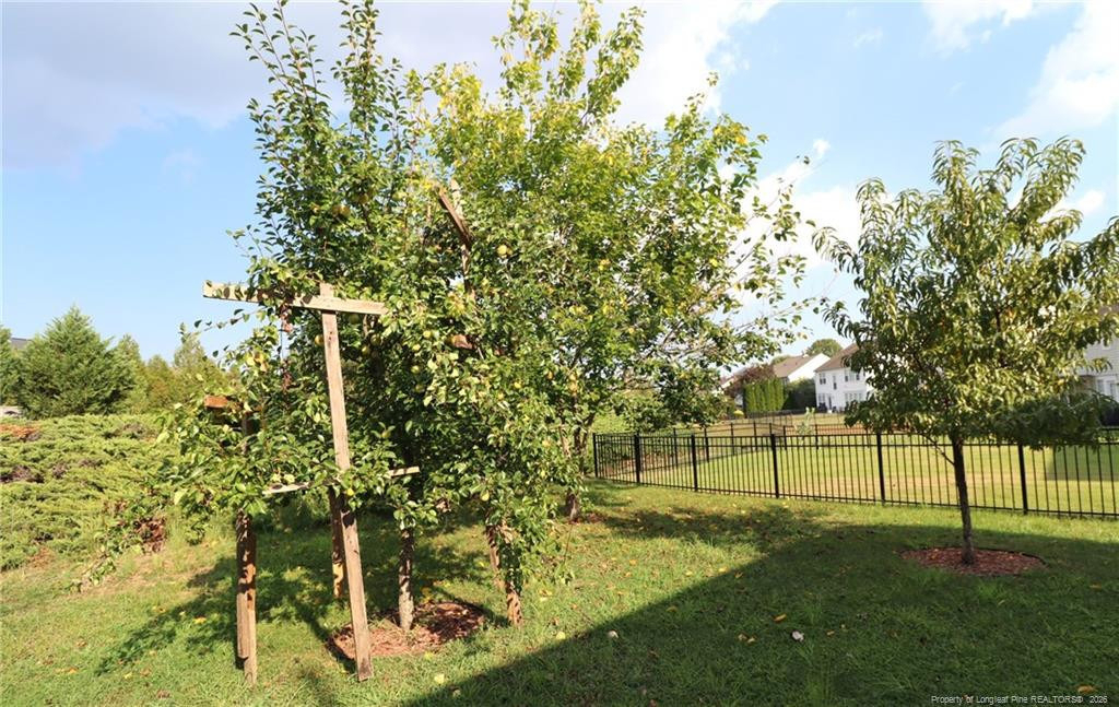 12554 Honeychurch Street - Photo 40
