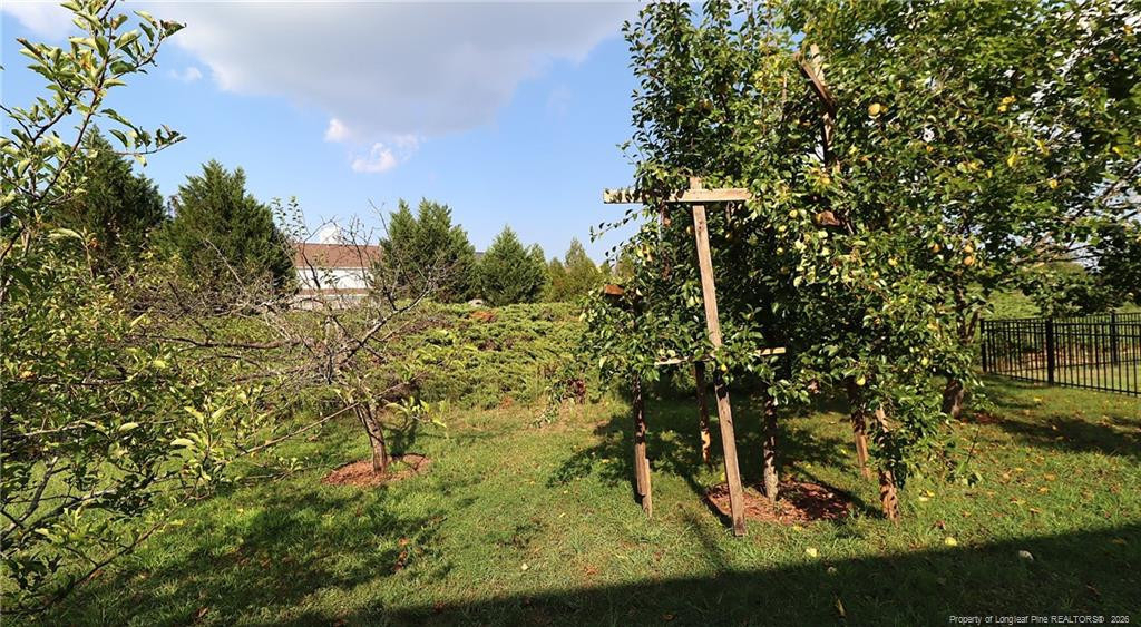 12554 Honeychurch Street - Photo 39
