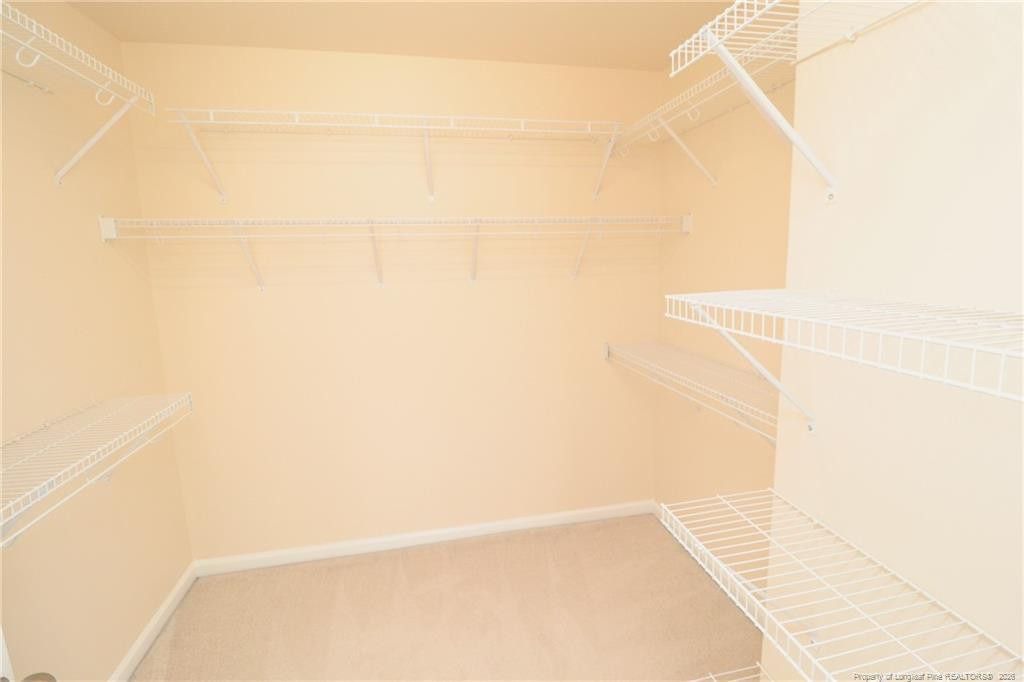 12554 Honeychurch Street - Photo 29