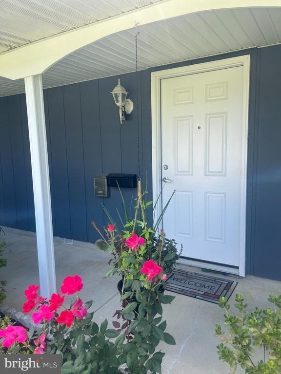 5319 Doris Drive - Photo 1