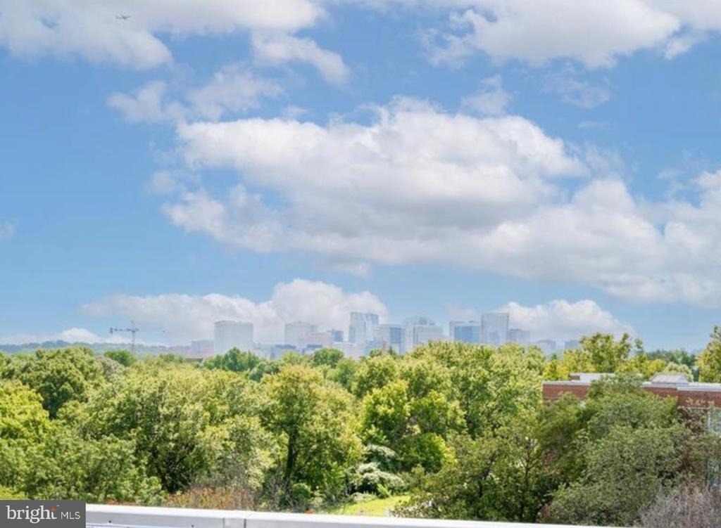 2500 Q Street Nw - Photo 10