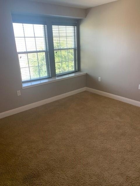 12308 Ferrystone Glen Dr - Photo 20
