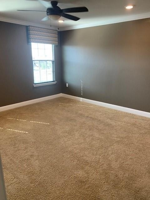 12308 Ferrystone Glen Dr - Photo 19