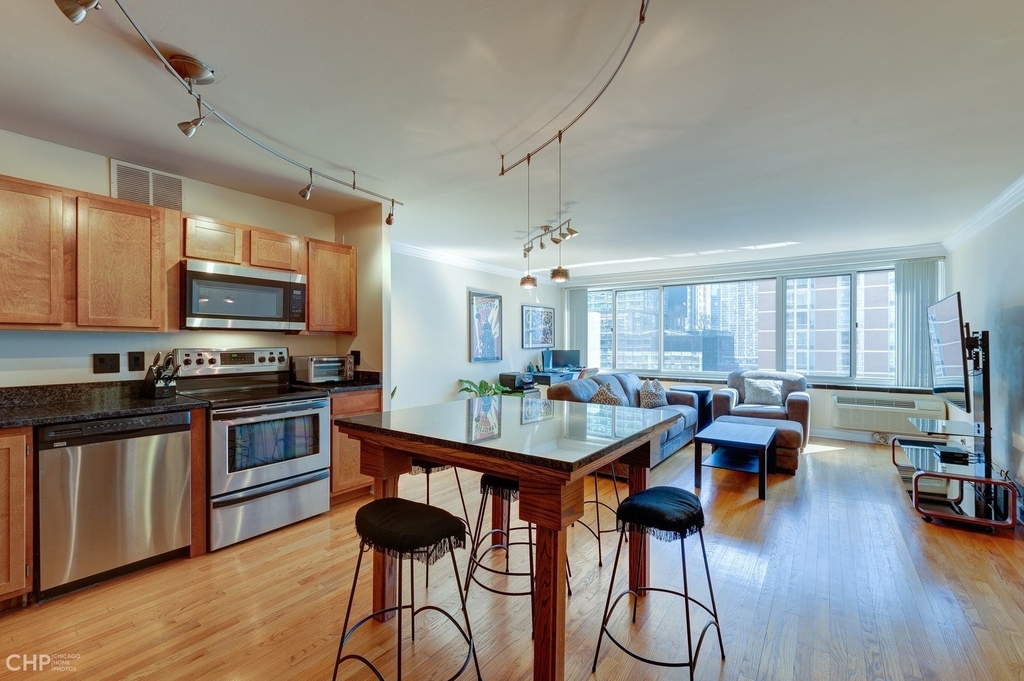 211 E Ohio Street - Photo 9