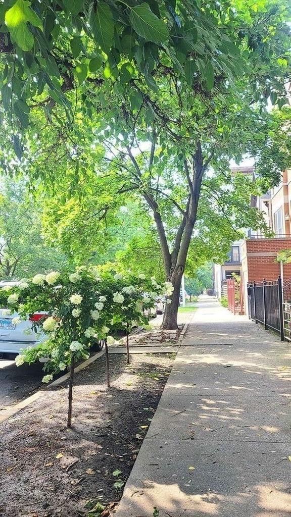 2024 N Wolcott Avenue - Photo 1