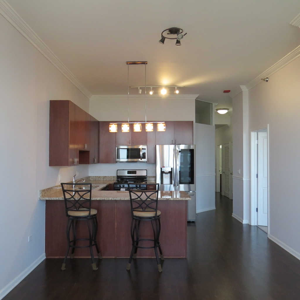 1464 S Michigan Avenue - Photo 4