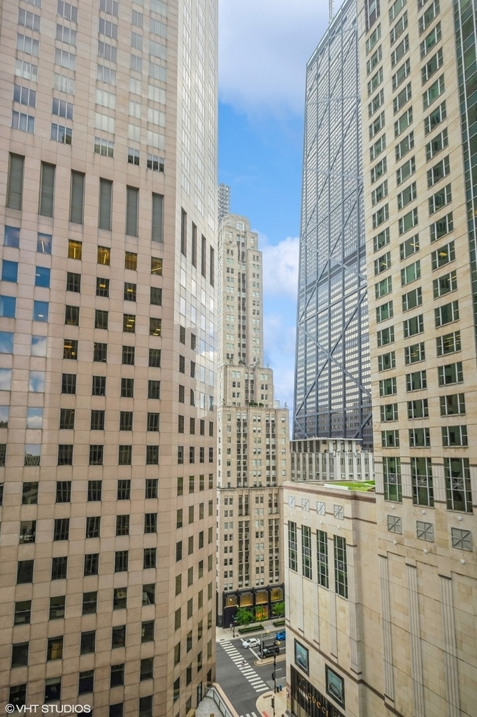 100 E Walton Street - Photo 14