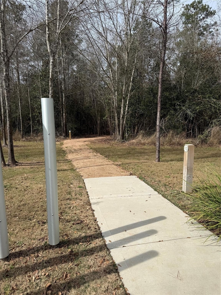 29003 Spicewood Valley Drive - Photo 39