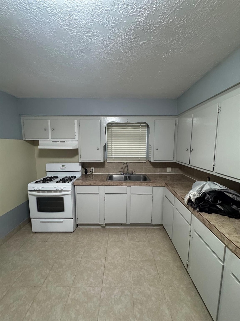 821 Cloverleaf Street - Photo 10