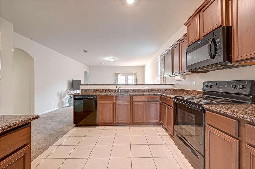 1306 Diamond Drape Drive - Photo 10