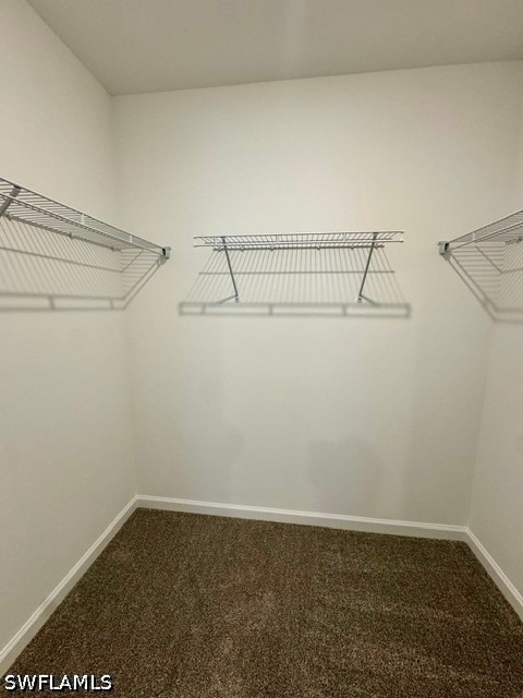 27880 Radiant Court - Photo 18
