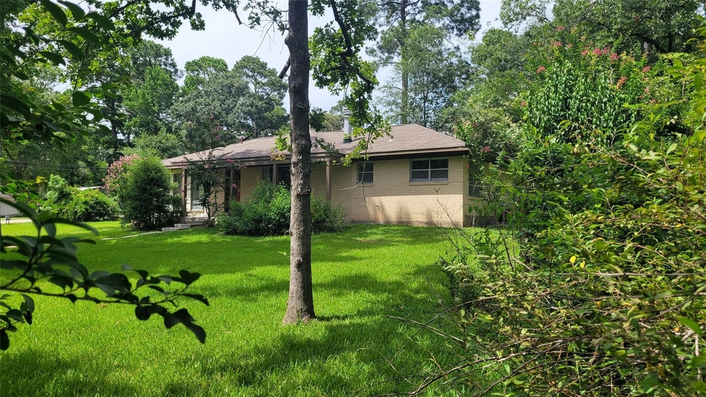110 Sunset Boulevard - Photo 40