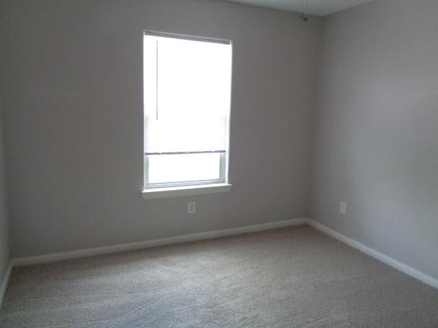 1320 Cleveland Street - Photo 15
