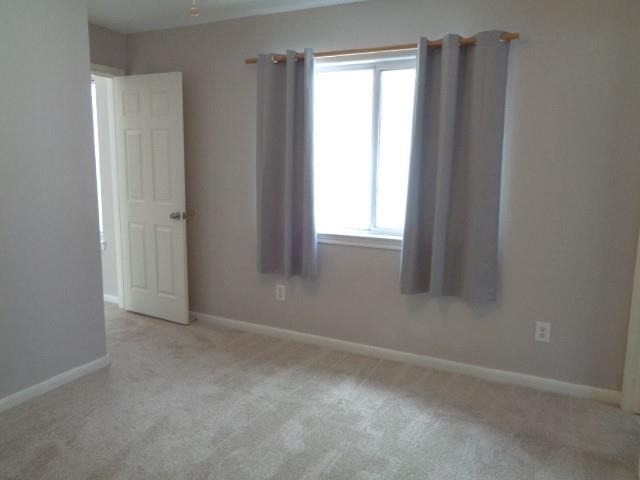 1320 Cleveland Street - Photo 14