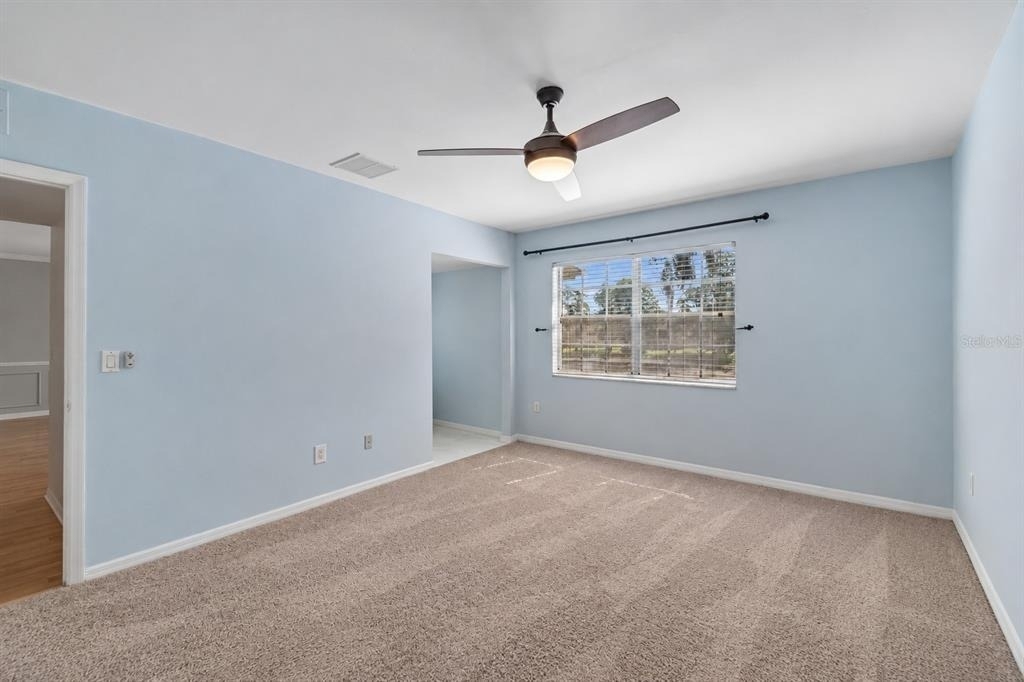 10354 Carrollwood Lane - Photo 12