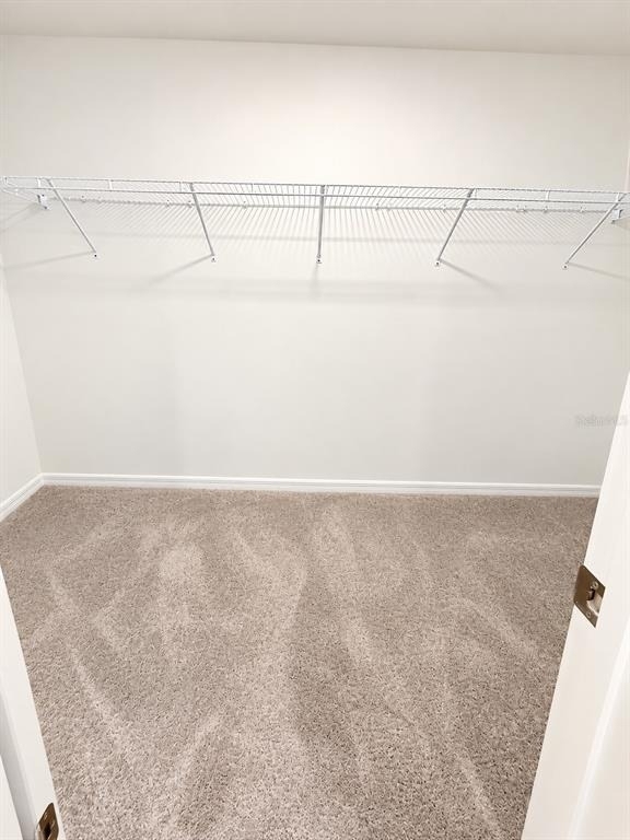 2270 Red Crossbill Drive - Photo 13