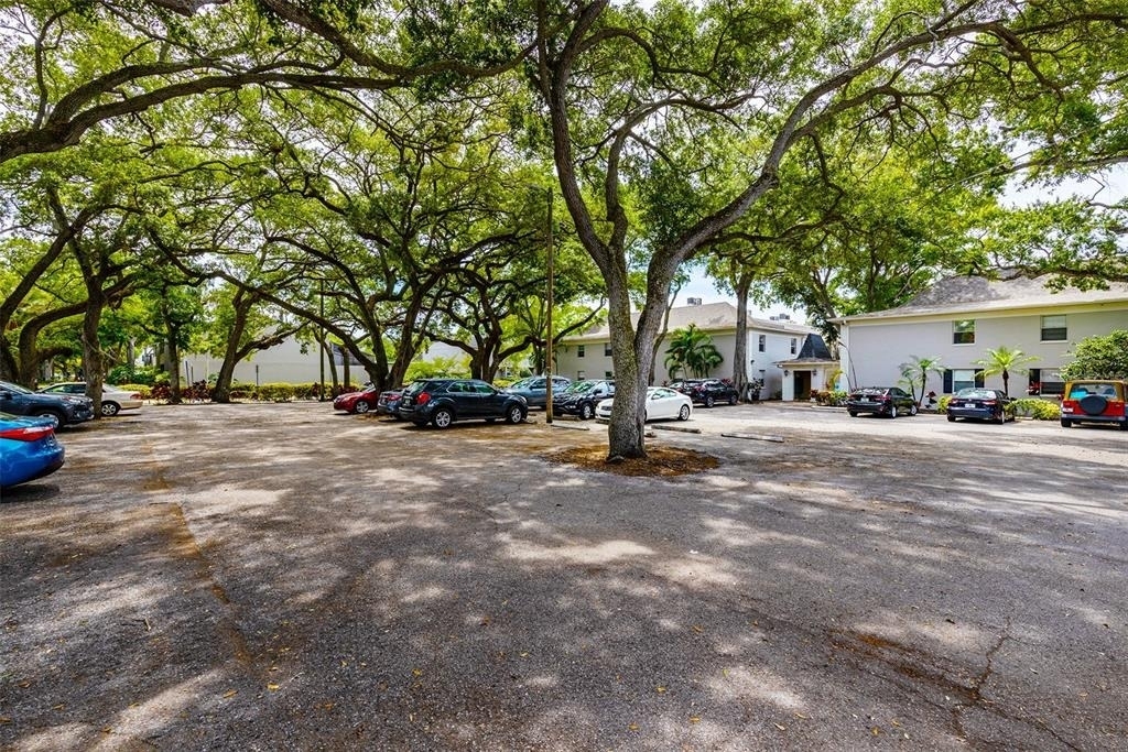 5221 Bayshore Boulevard - Photo 30