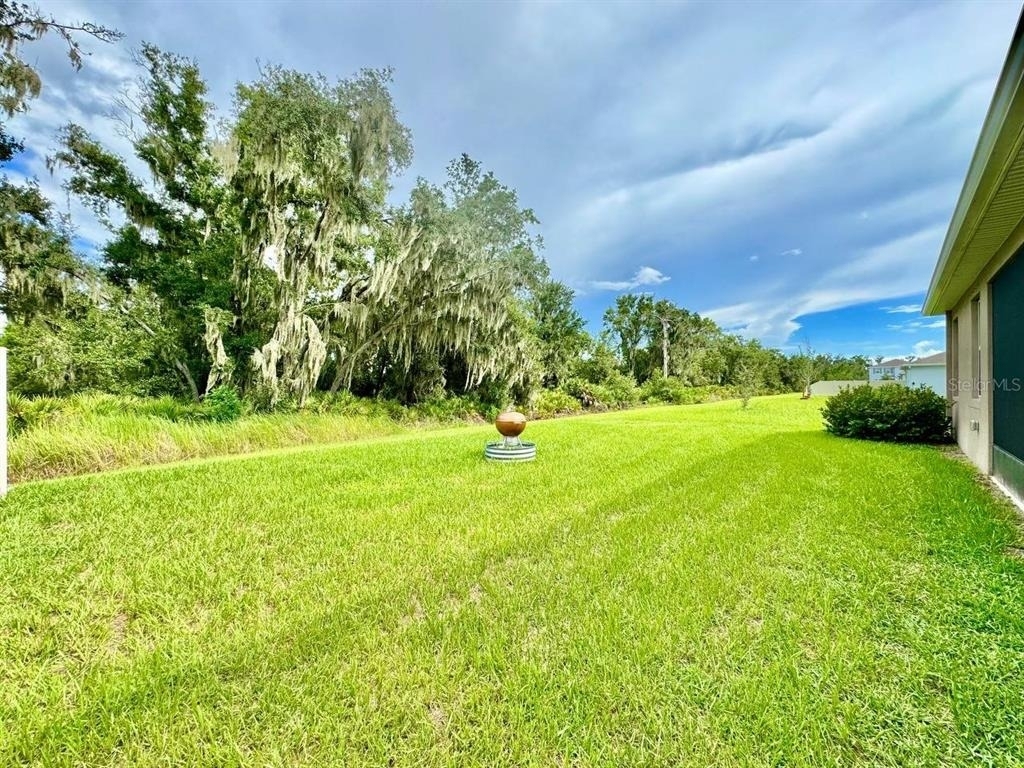 12544 Shining Willow Street - Photo 38